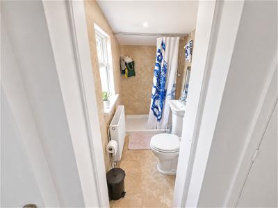 Picture 7